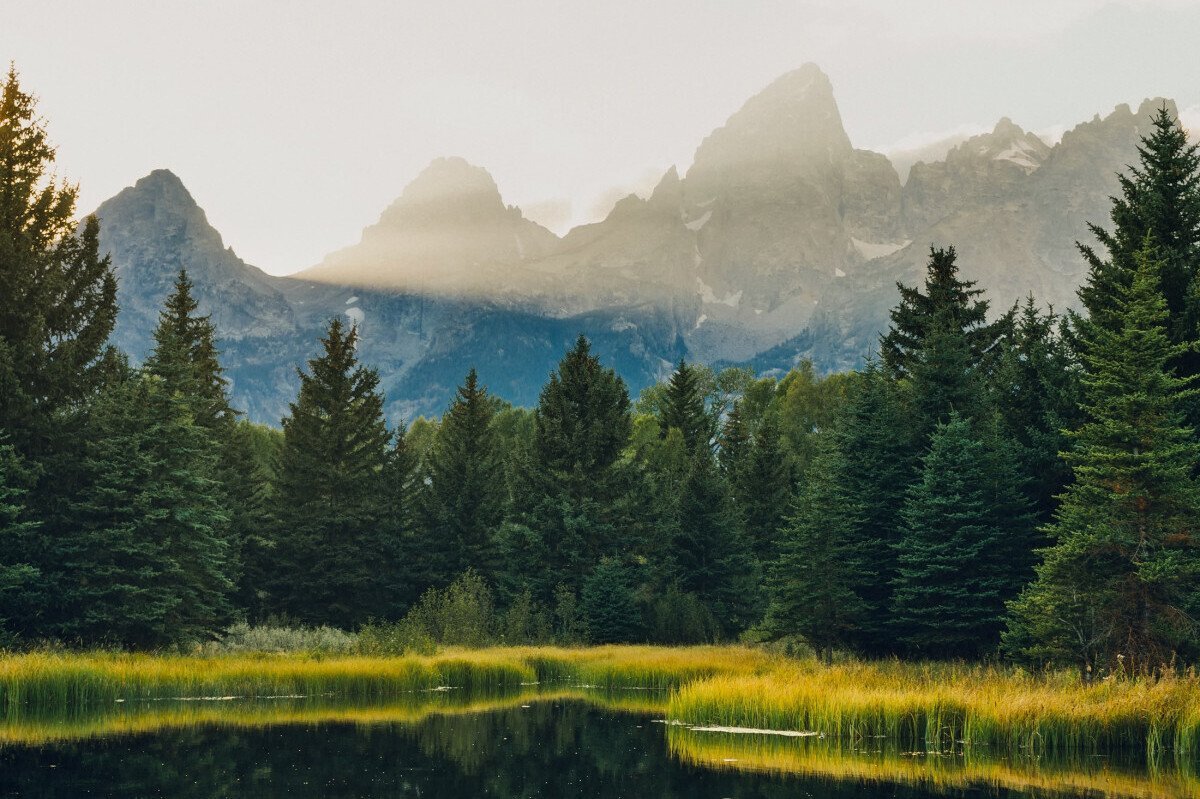 banner2.png