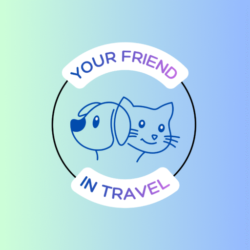 Photo of Your Friend in Travel