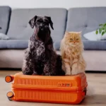 Your friend in travel
